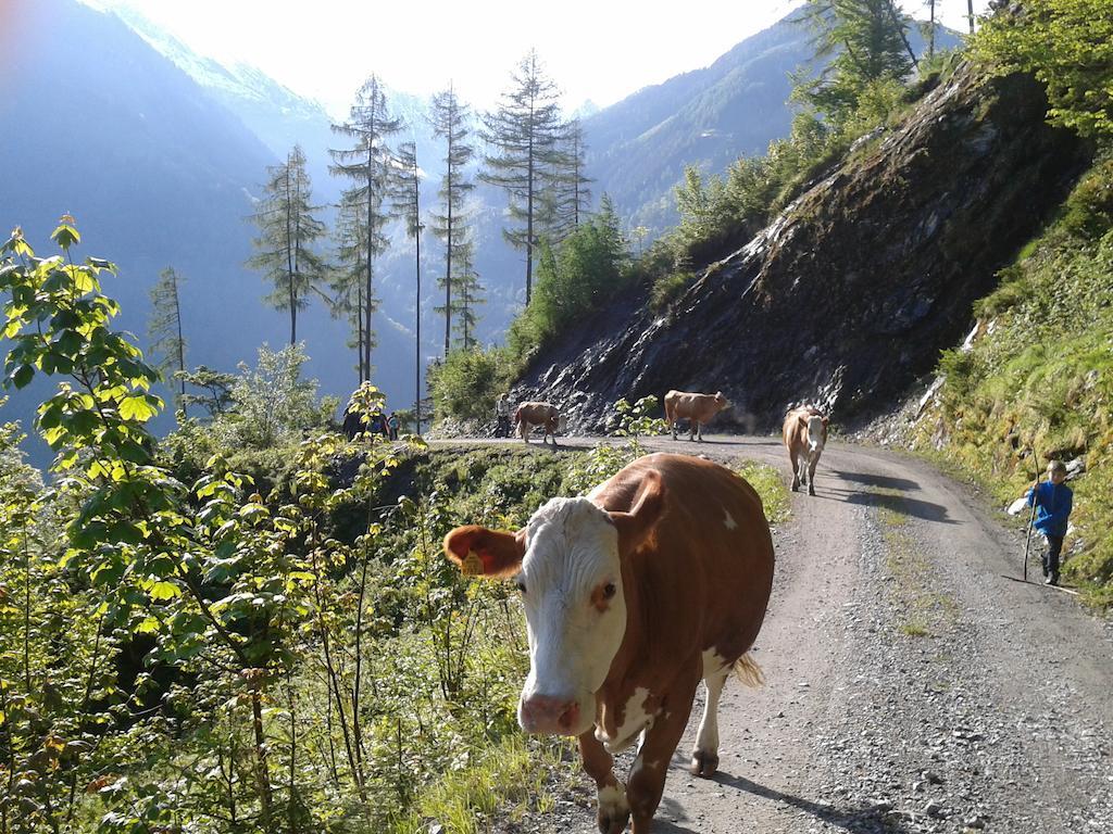 Feriendorf Ponyhof Hotell Fusch an der Grossglocknerstrasse Exteriör bild