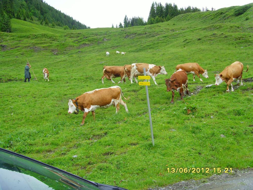 Feriendorf Ponyhof Hotell Fusch an der Grossglocknerstrasse Exteriör bild