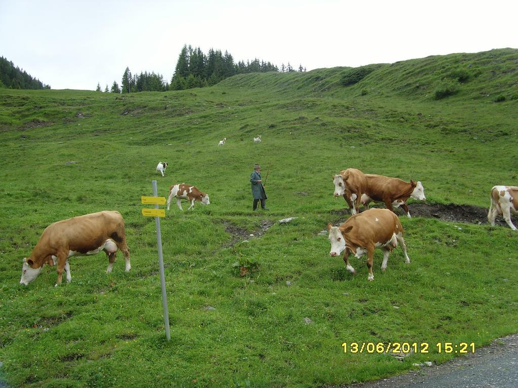 Feriendorf Ponyhof Hotell Fusch an der Grossglocknerstrasse Exteriör bild